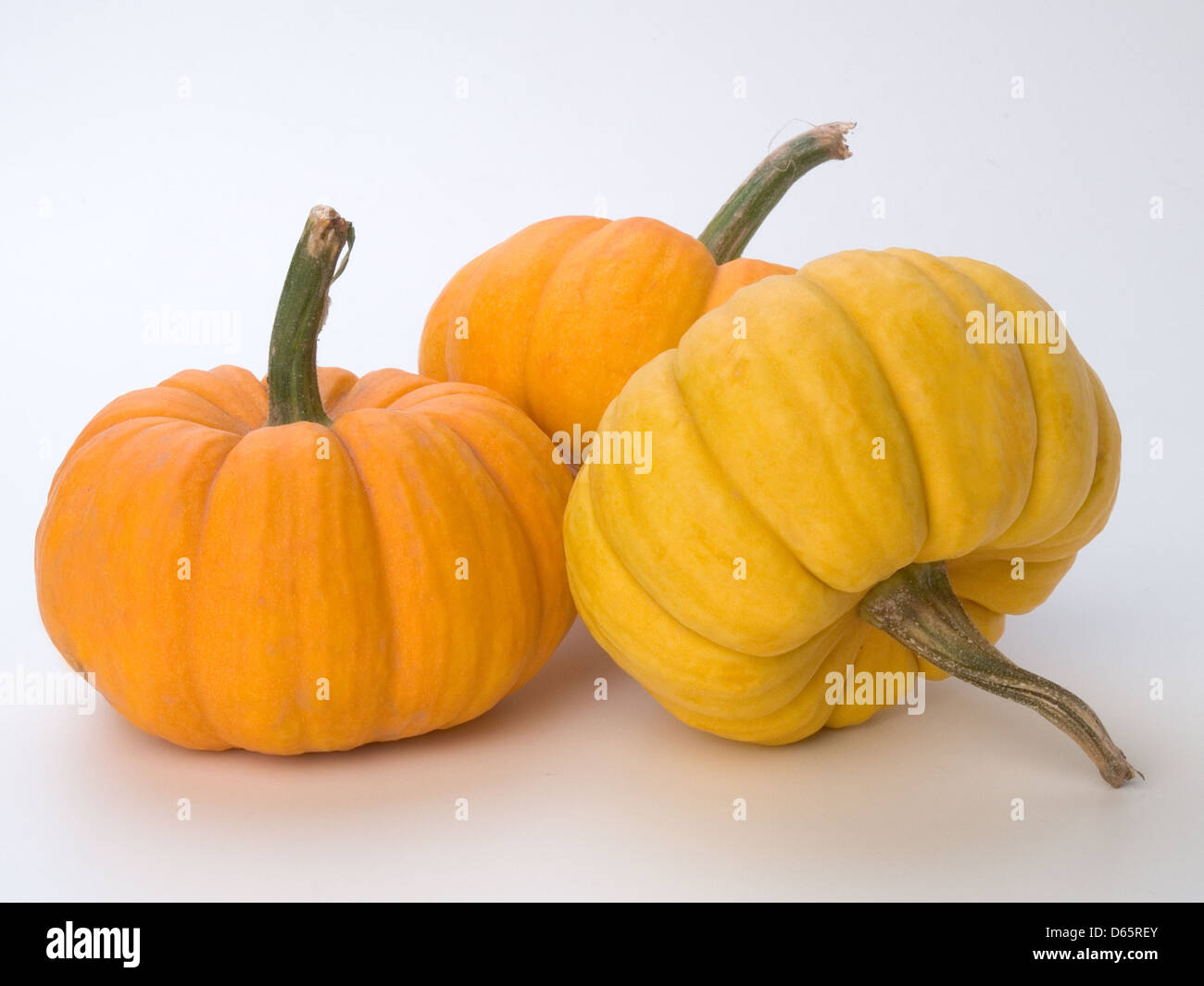 Squashs High Resolution Stock Photography and Images Alamy