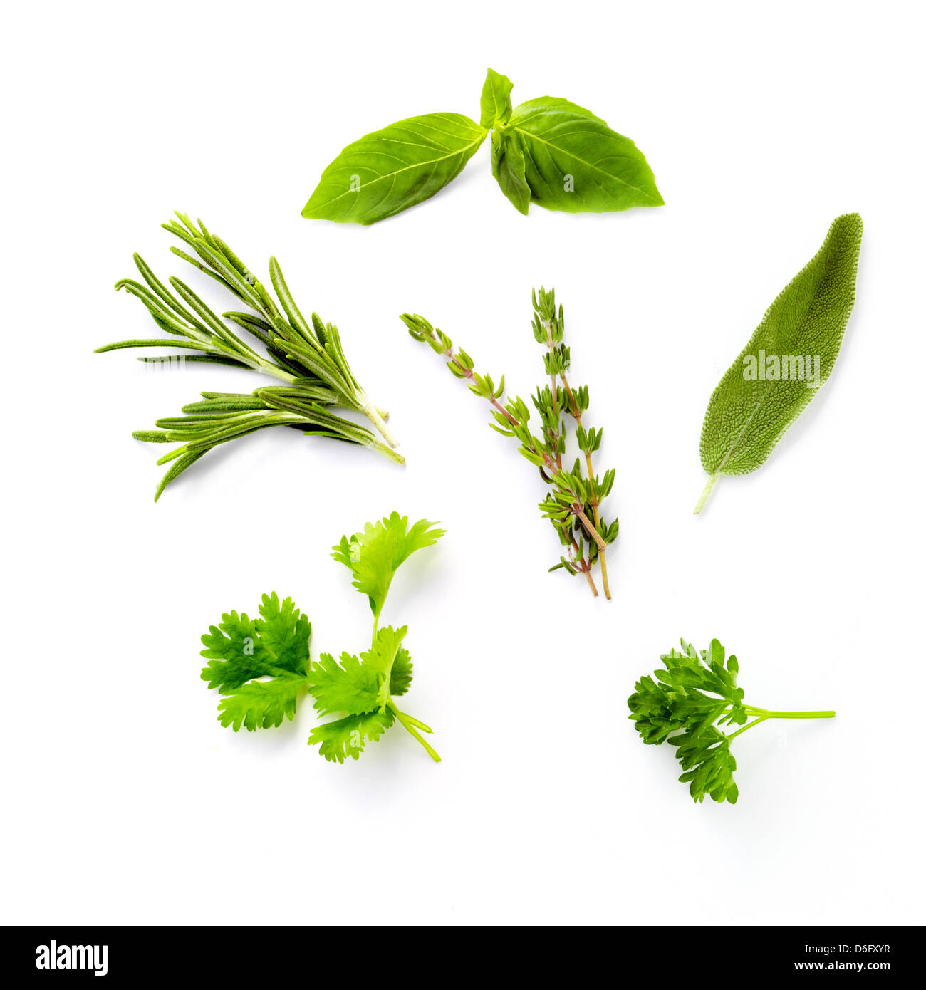 Mixed herbs hires stock photography and images Alamy