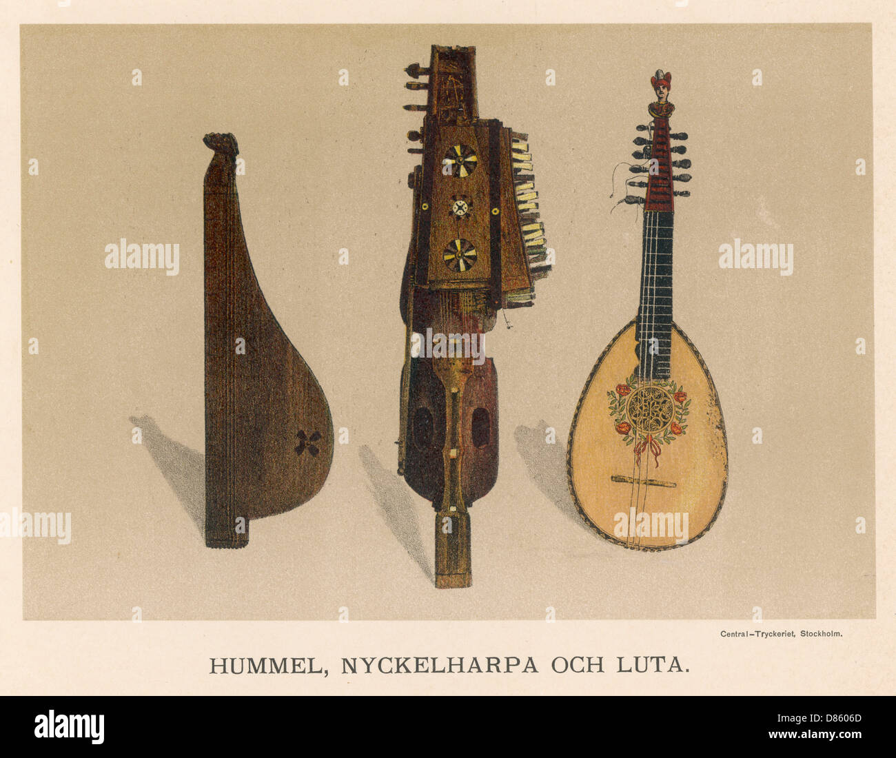 Lute and string instruments Stock Photo Alamy