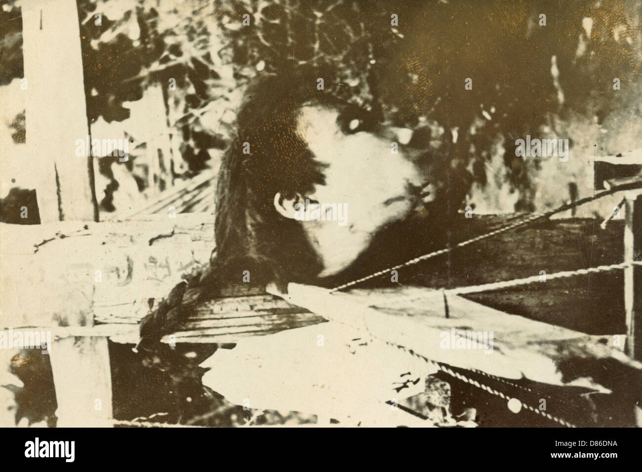 Girl Severed Head Movie Prop