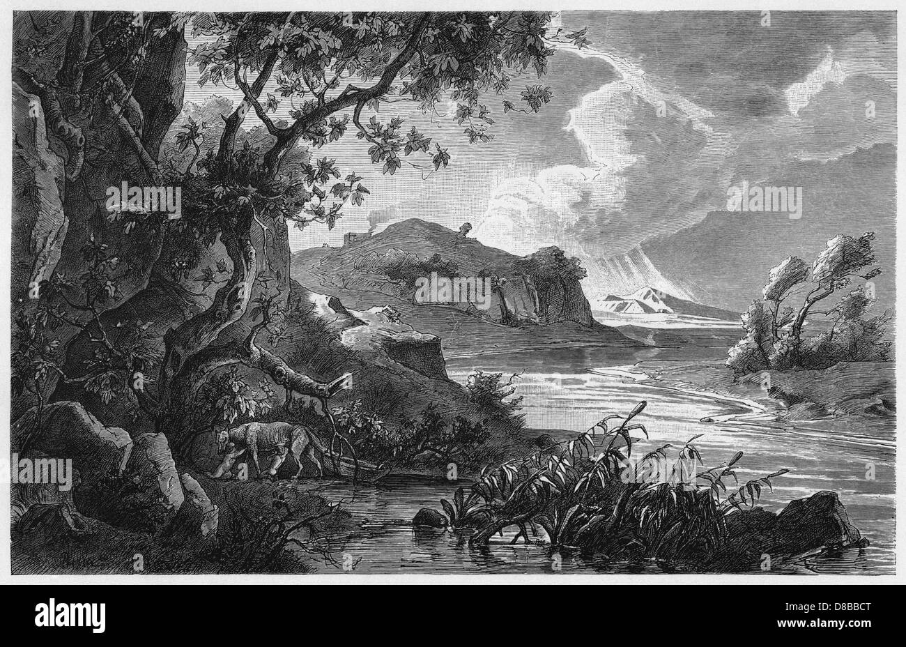 Romulus and Remus Stock Photo Alamy