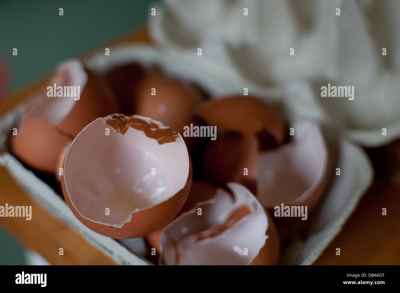 broken egg shells Stock Photo Alamy