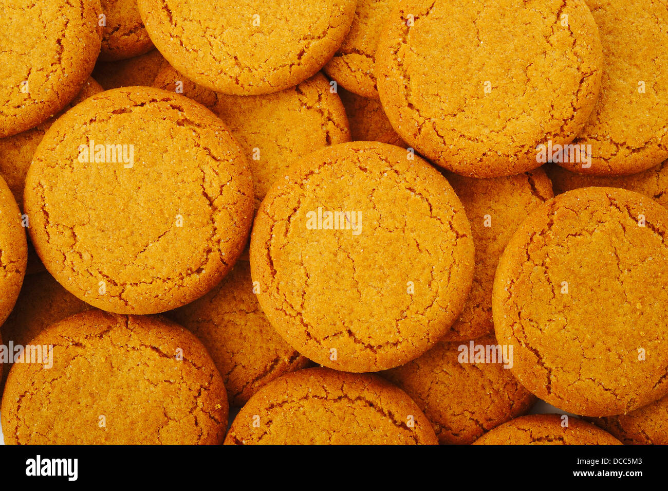 ginger nut biscuts Stock Photo Alamy