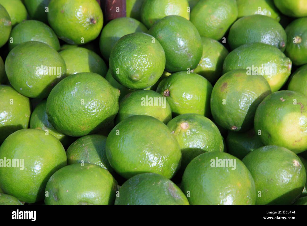 Limes lime hires stock photography and images Alamy