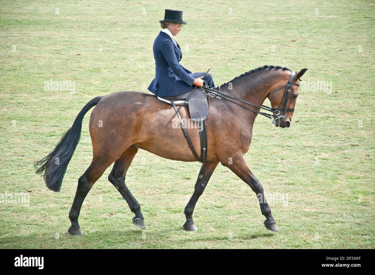 Side saddle horse rider hires stock photography and images Alamy