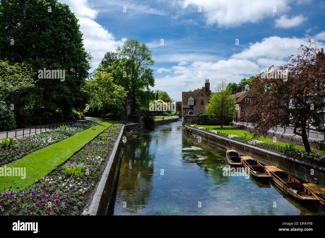Riverside plants hires stock photography and images Alamy