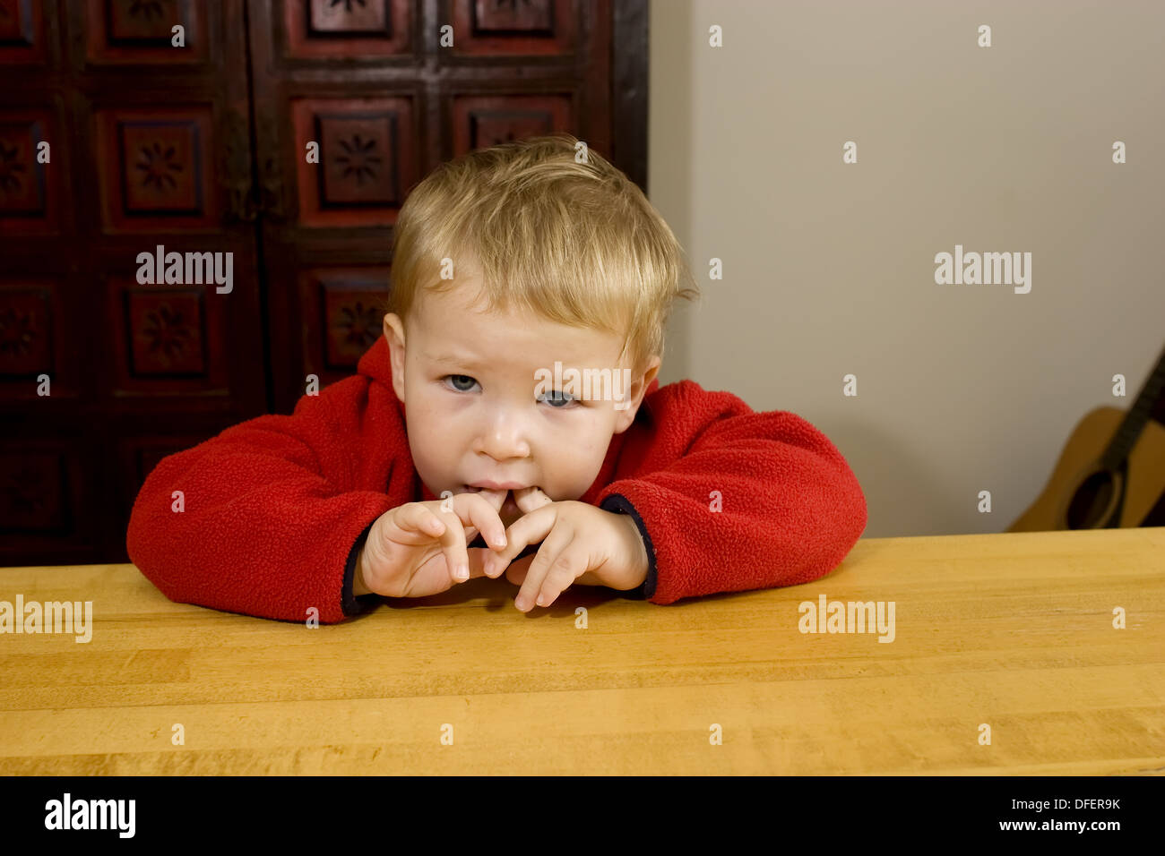 Two year old boy Stock Photo Alamy