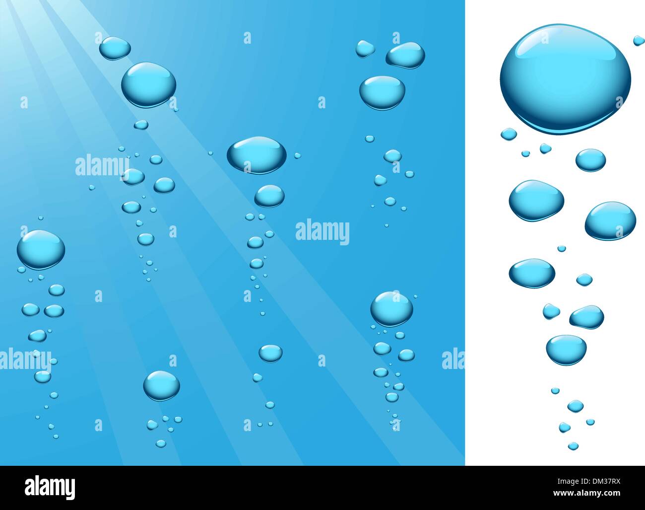 Bubbles in water Stock Vector Image & Art Alamy