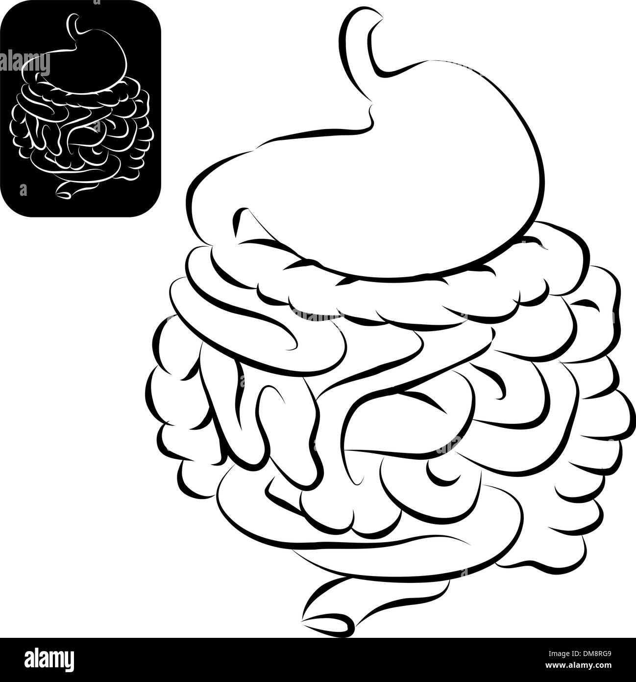 Digestive System Mouth Black And White