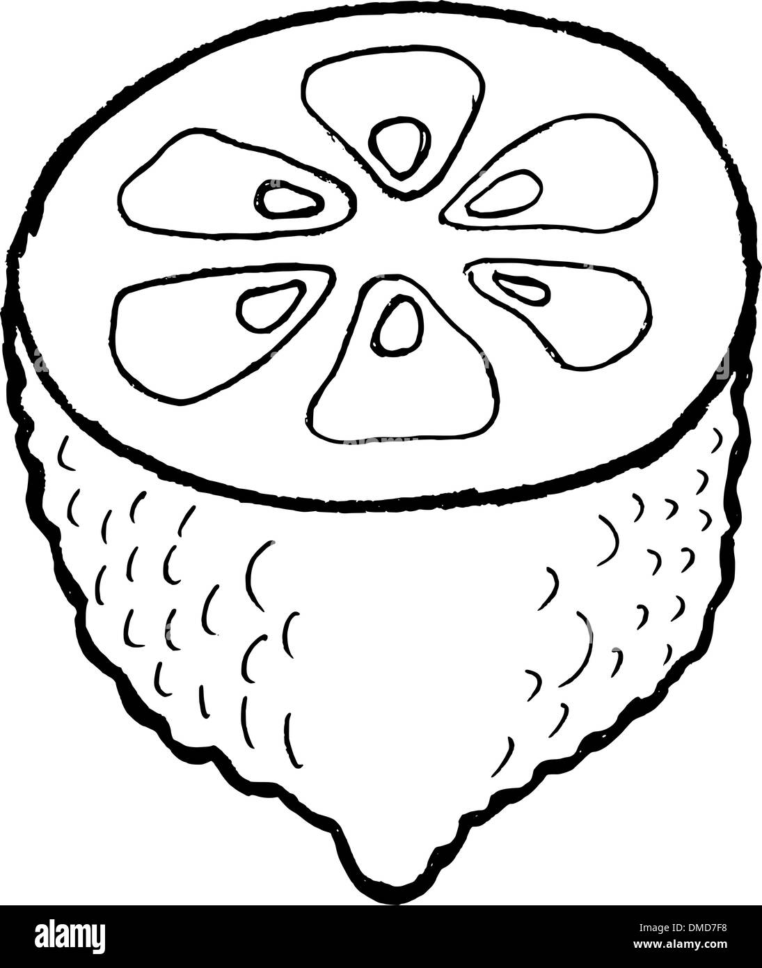 Ripe Black and White Stock Photos & Images Alamy