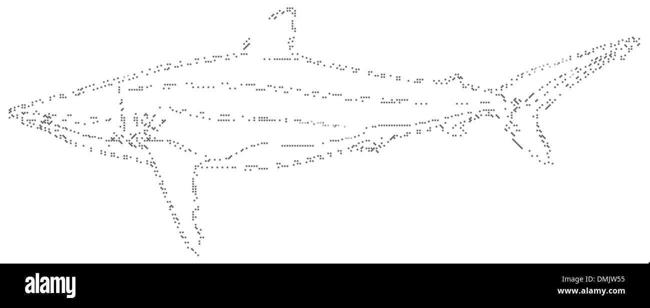 Silky shark Stock Vector Images Alamy