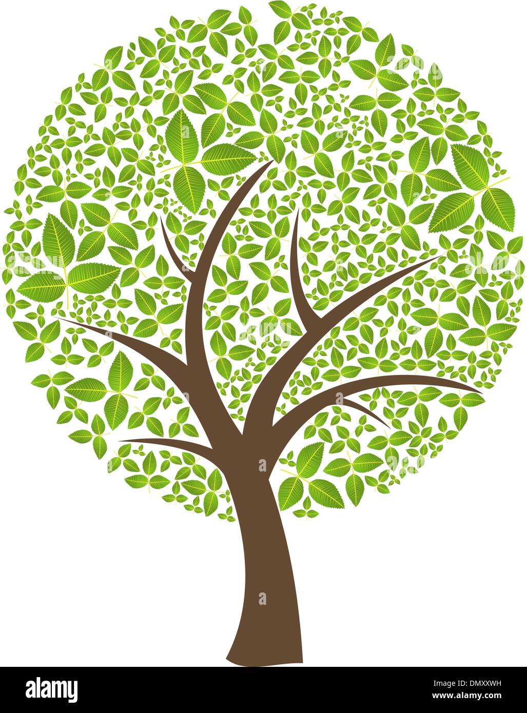 Abstract tropical leaf Stock Vector Images Alamy