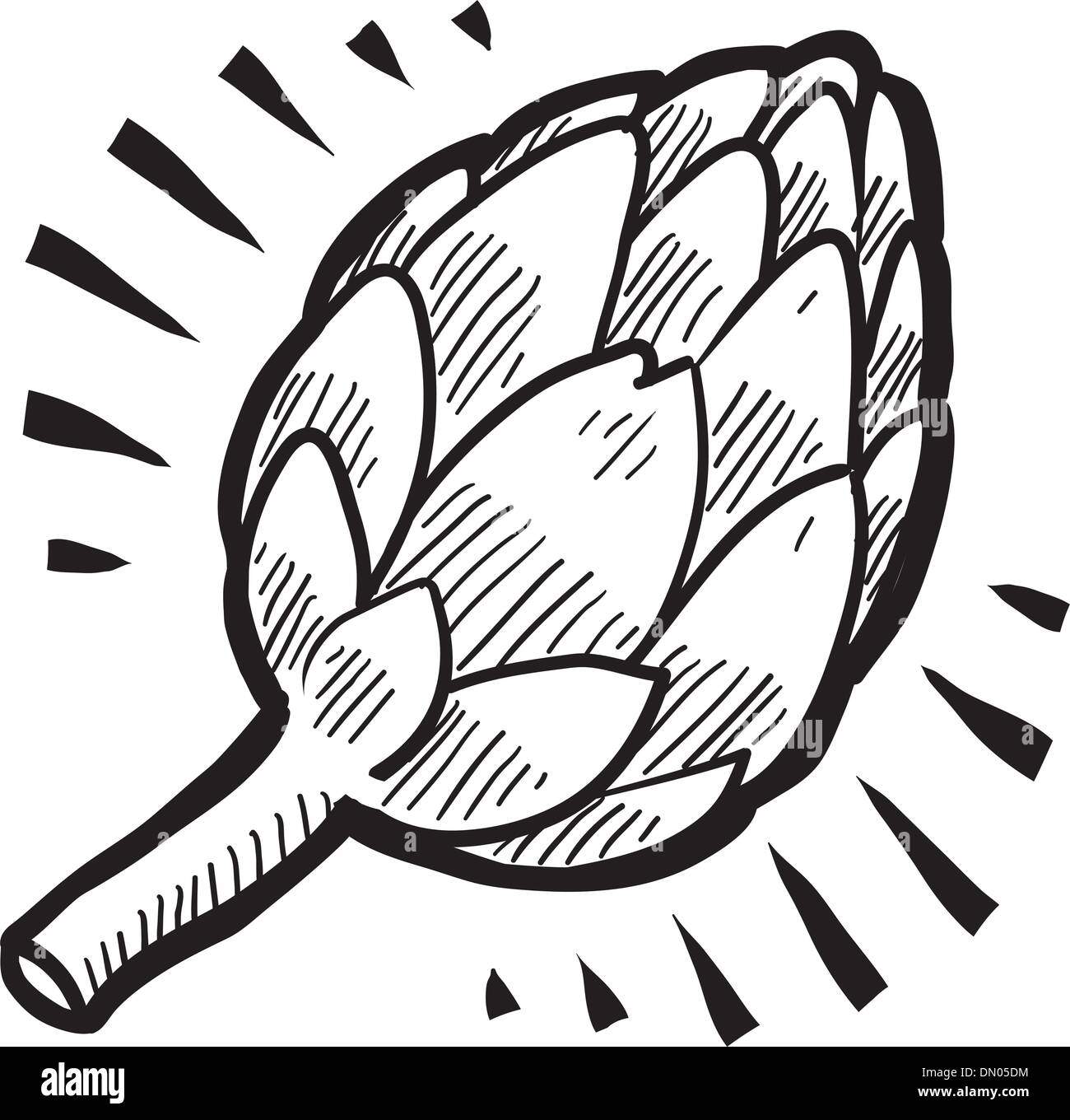 Artichoke vector sketch Stock Vector Image & Art Alamy