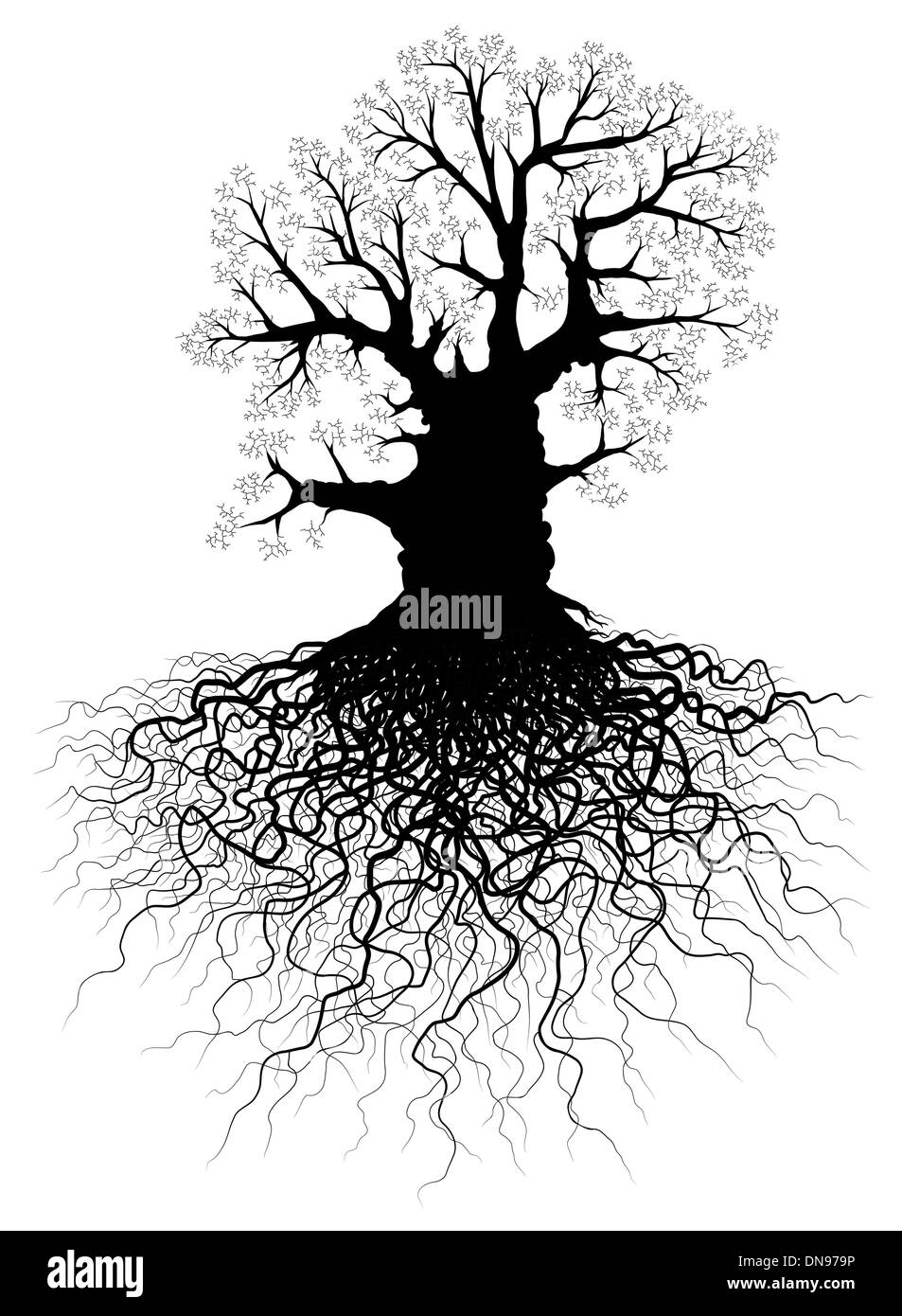 Tree Roots Underground Black and White Stock Photos & Images Alamy