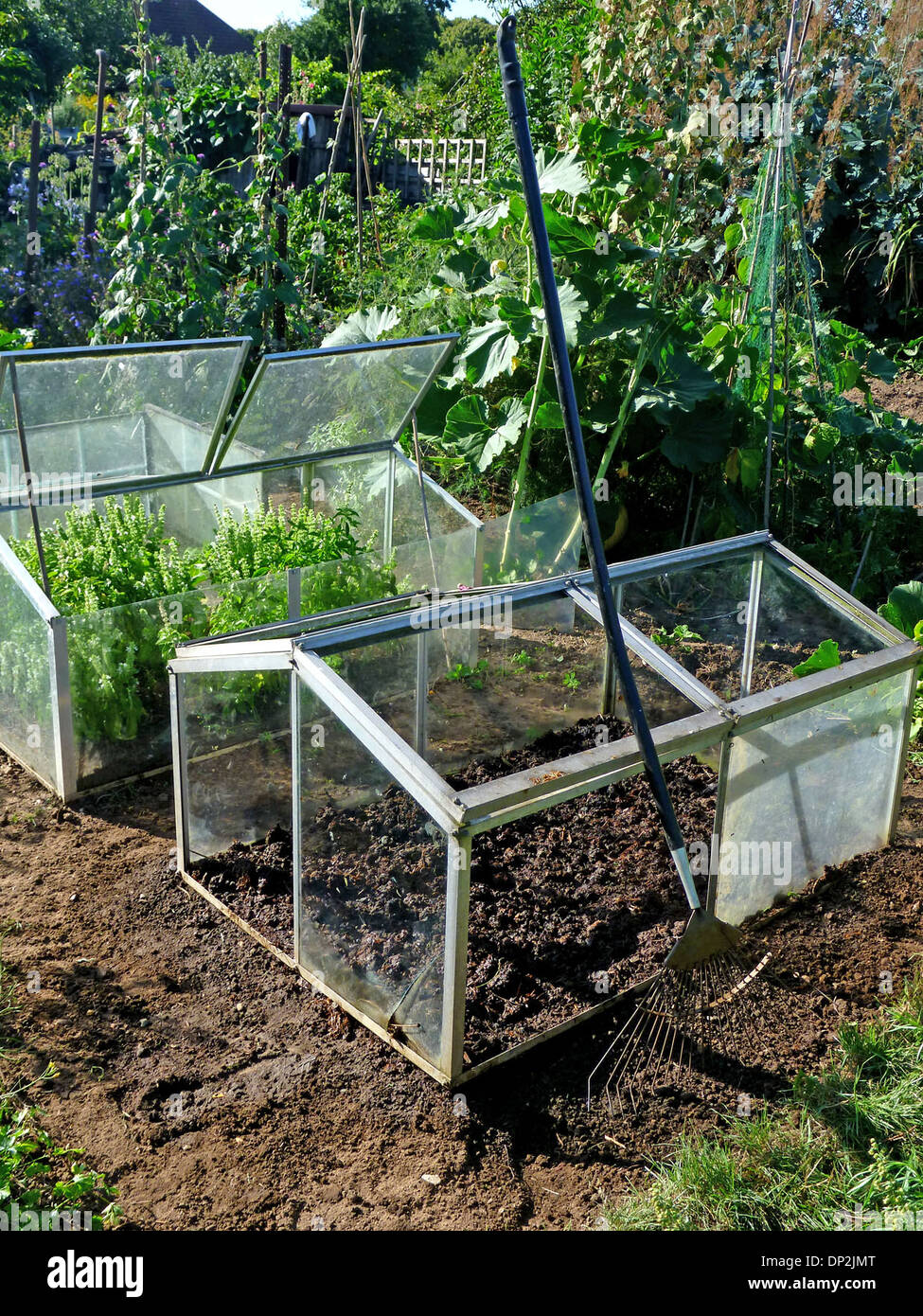 allotment cold frames Stock Photo Alamy