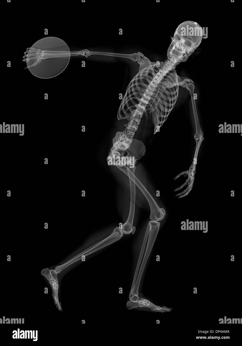 Skeleton throwing discus, artwork Stock Photo Alamy