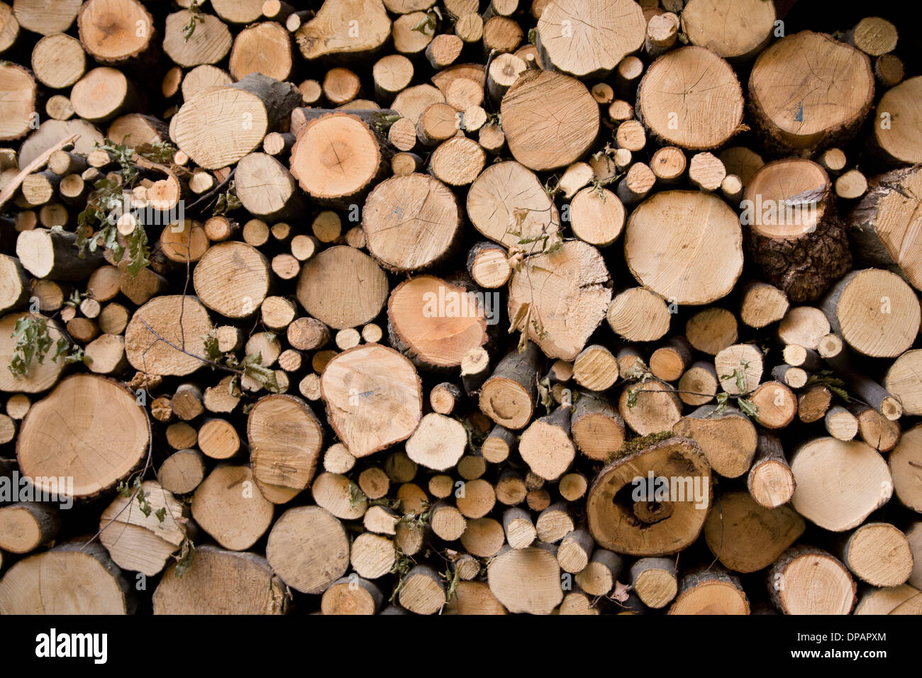 Fire wood texture, alternative power Stock Photo Alamy