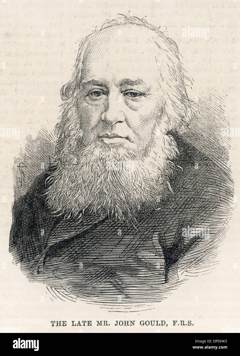 JOHN GOULD Stock Photo Alamy