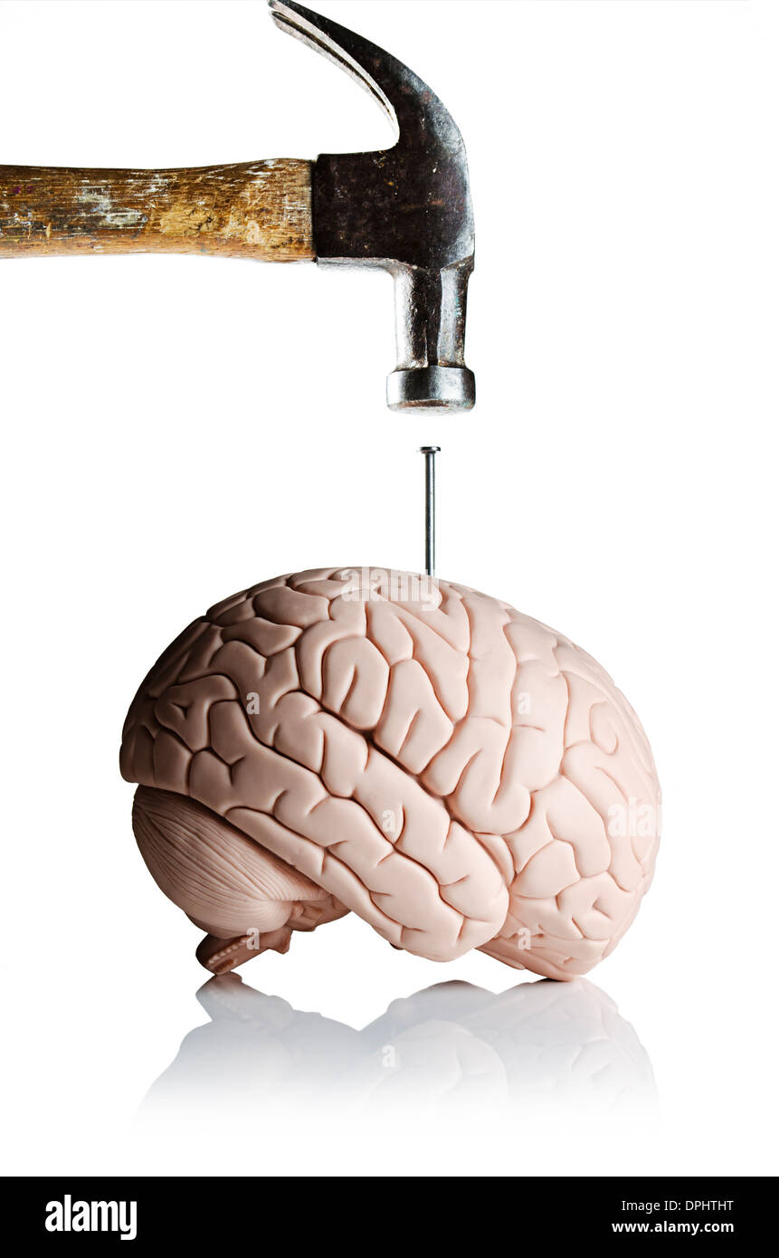 Hammer Hitting Brain