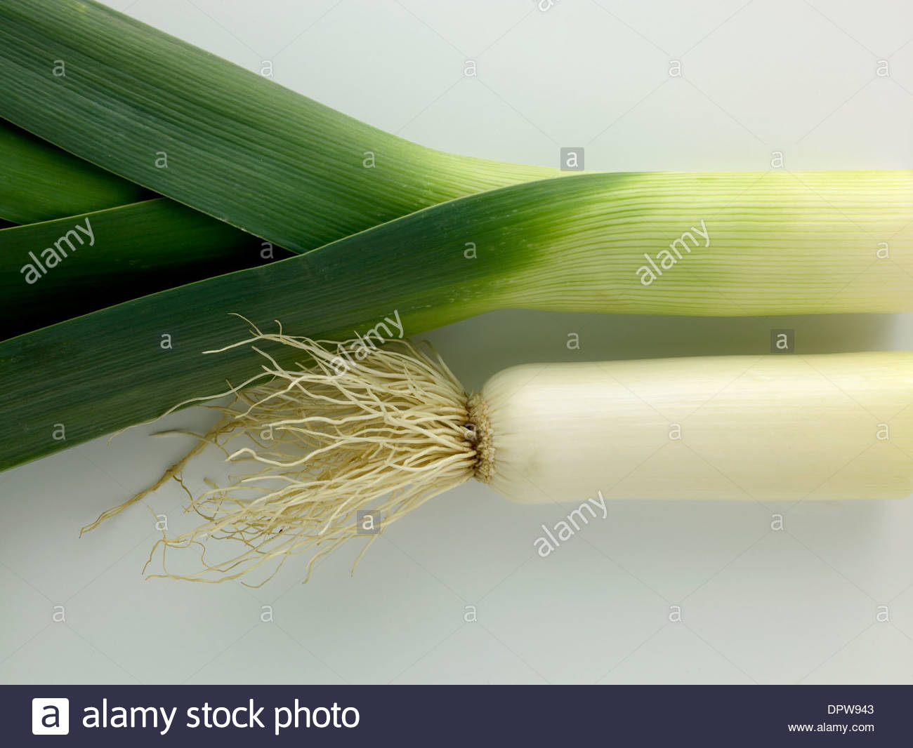 Leek Green Veg Vegetable Healthy Eating High Resolution Stock