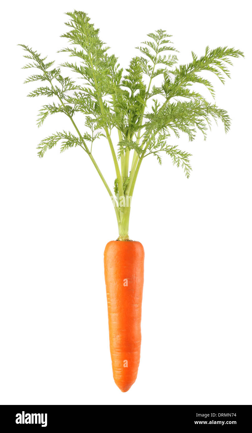 Carrot hi-res stock photography and images - Alamy