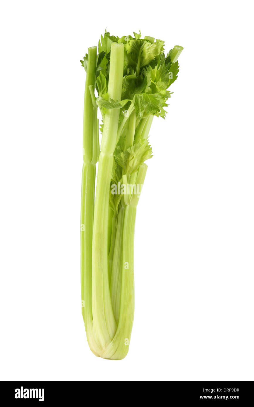 Celery Stick In Hindi