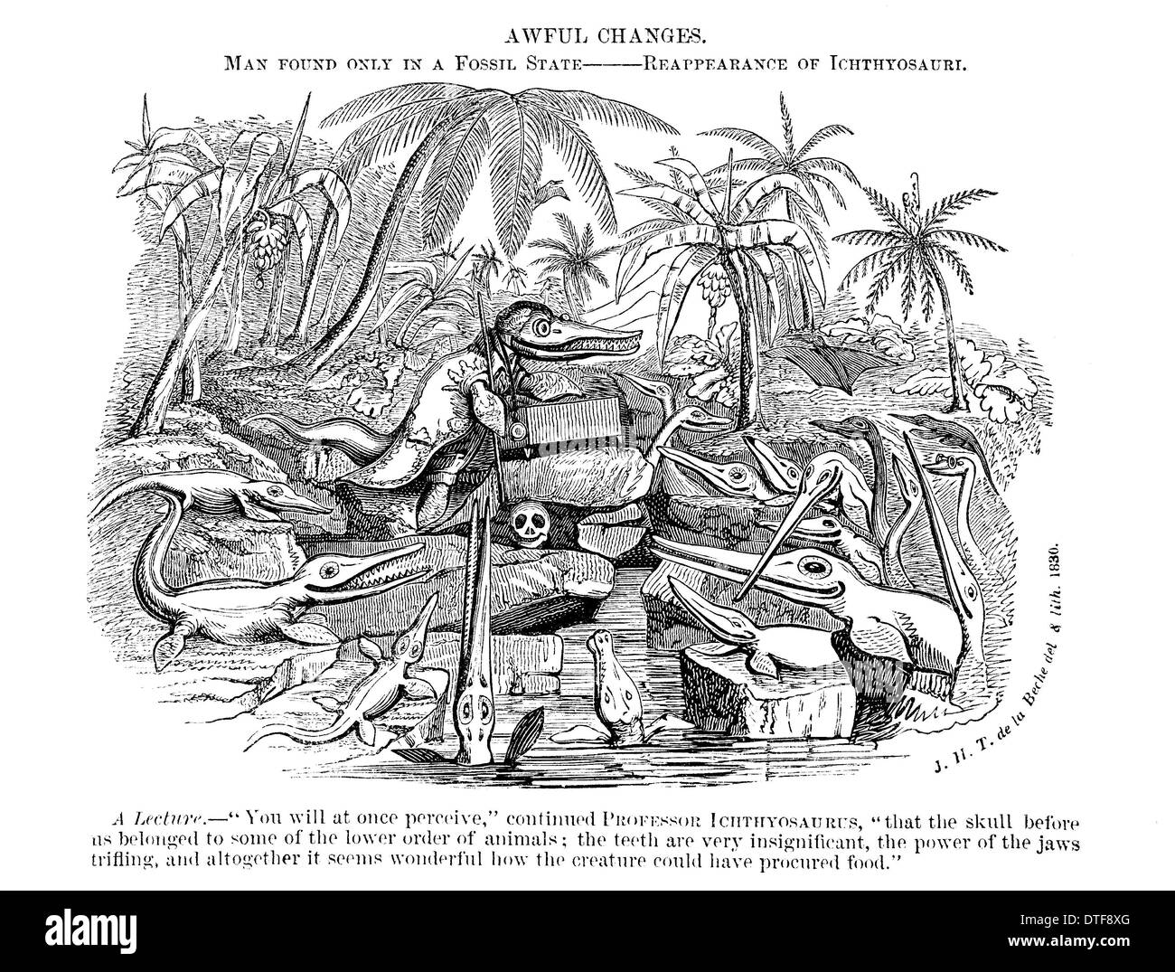 Ichthyosauria hires stock photography and images Alamy