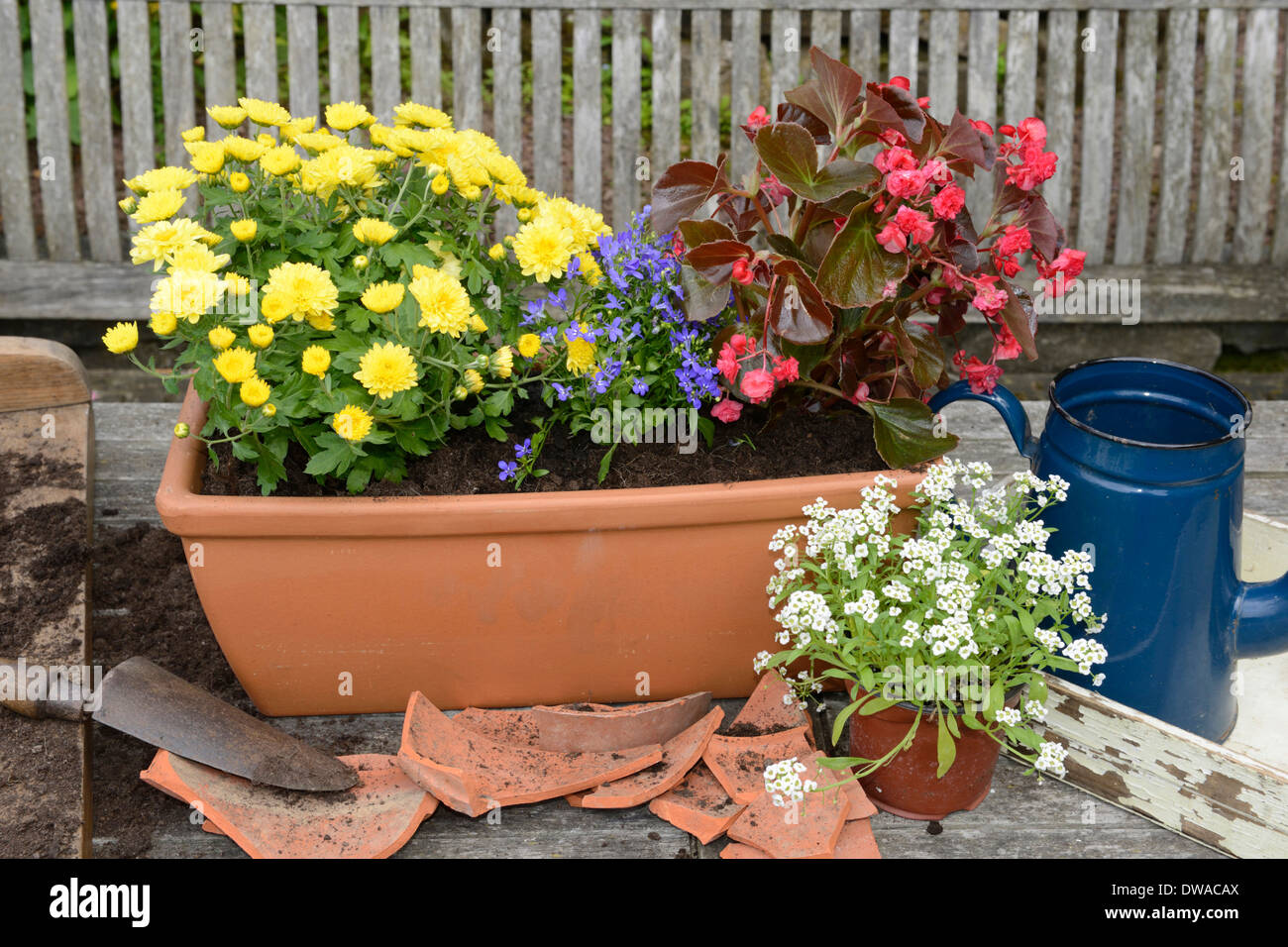 Planting flower box Stock Photo Alamy