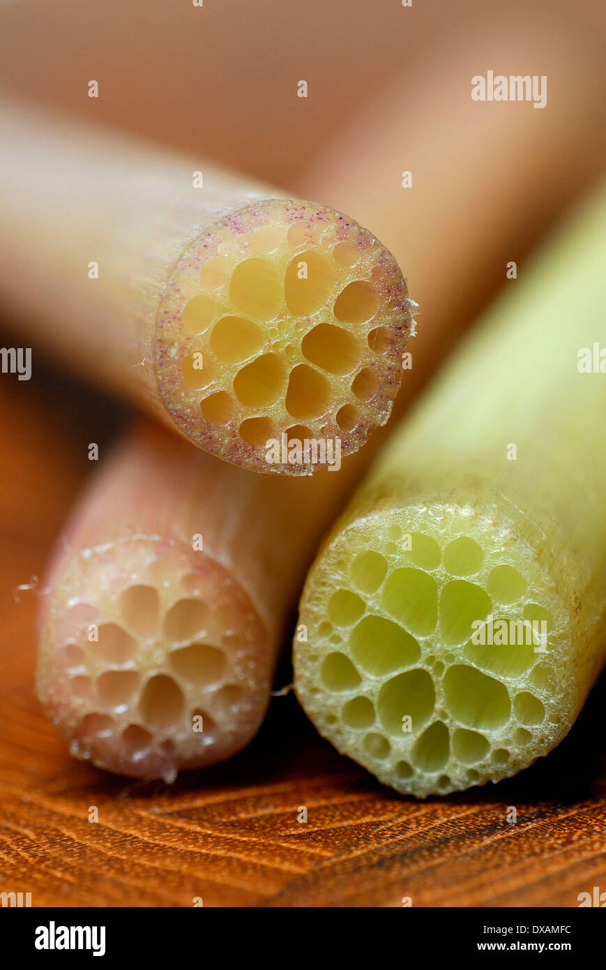 Lotus stems hires stock photography and images Alamy