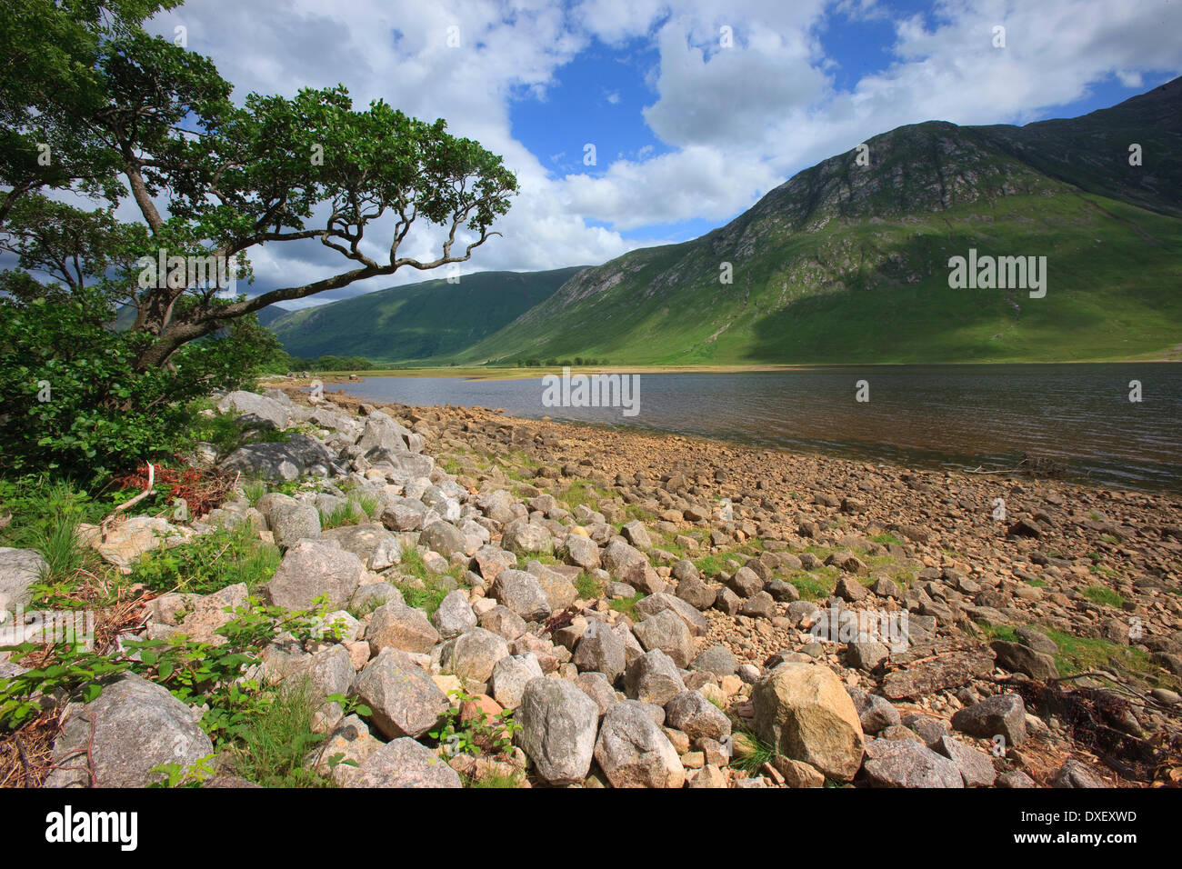 Upper Loch Etive, Argyll Stock Photo Alamy