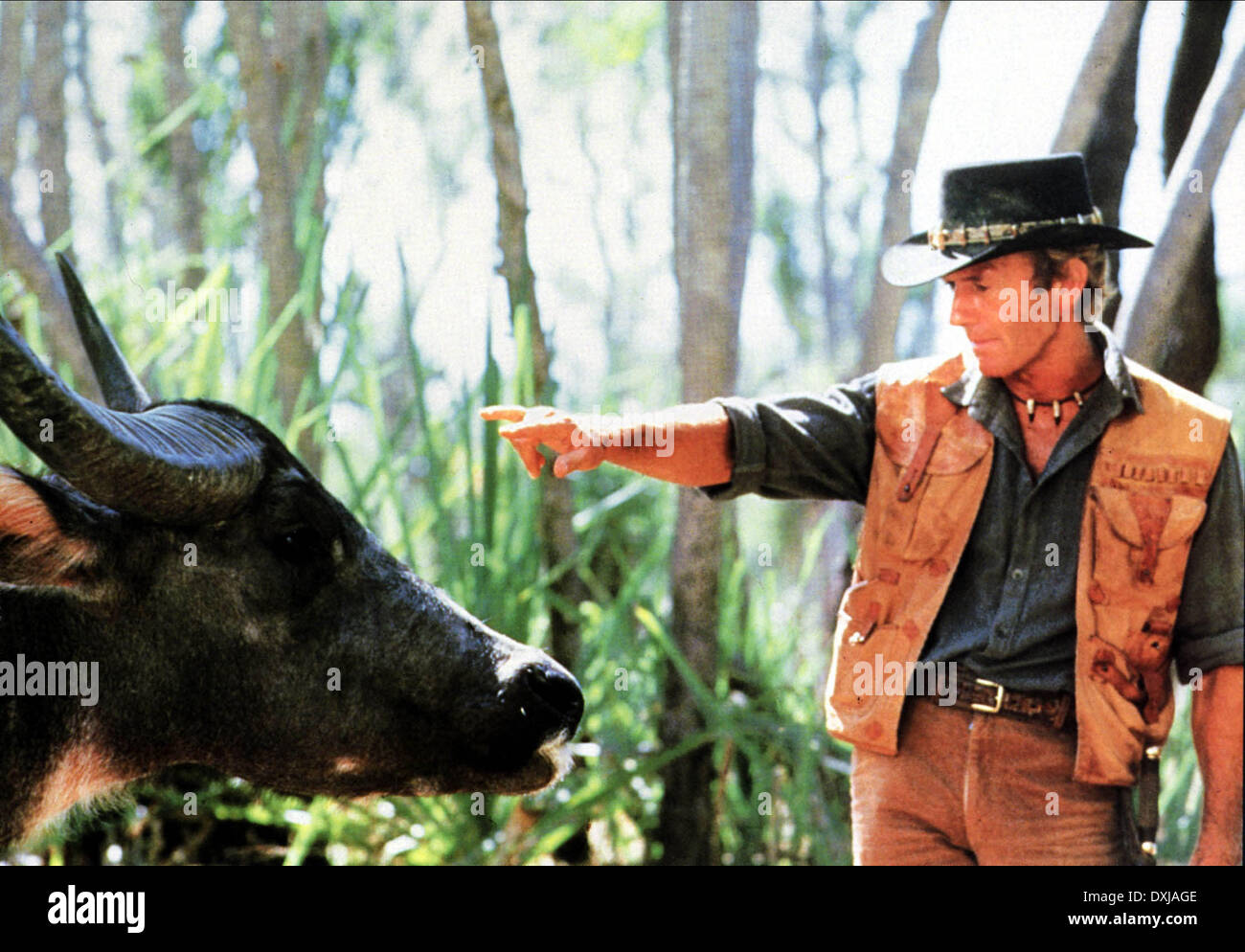 CROCODILE DUNDEE Stock Photo 68015598 Alamy
