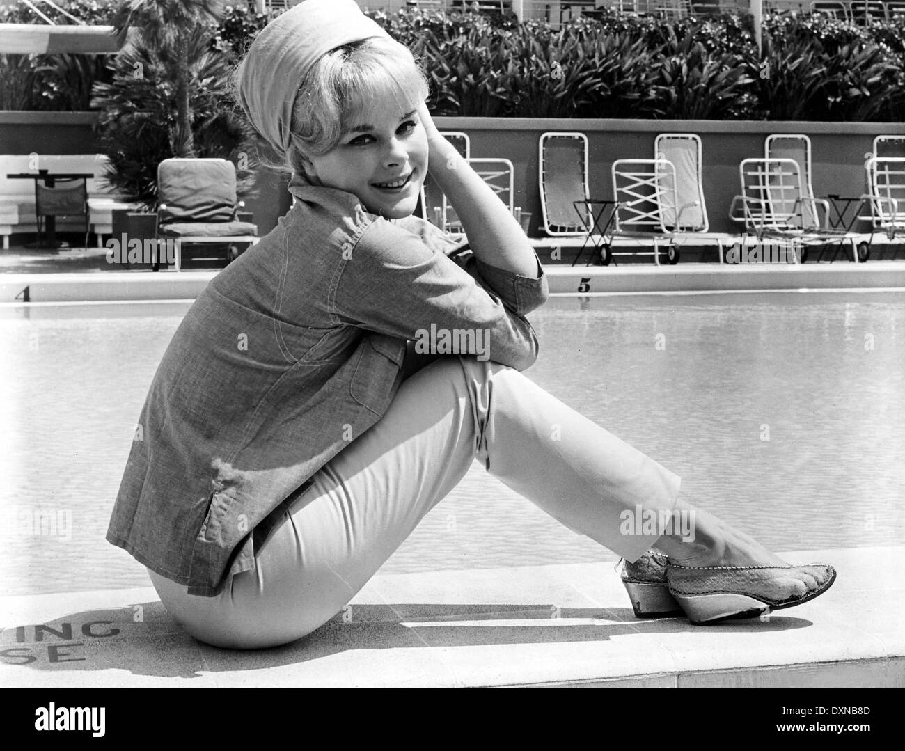 Elke Sommer 1963 High Resolution Stock Photography and Images Alamy