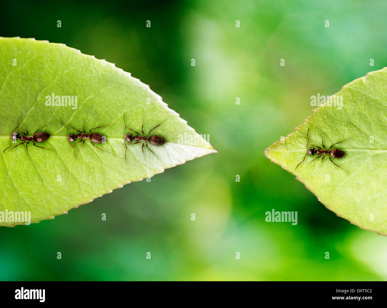 Royalty free Stock Photos & Images from Alamy
