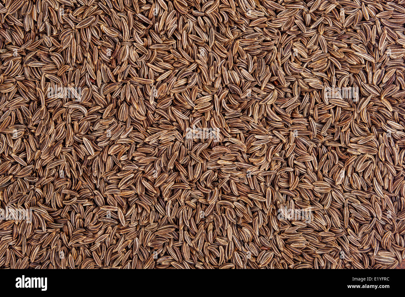 Cumin seed texture hires stock photography and images Alamy