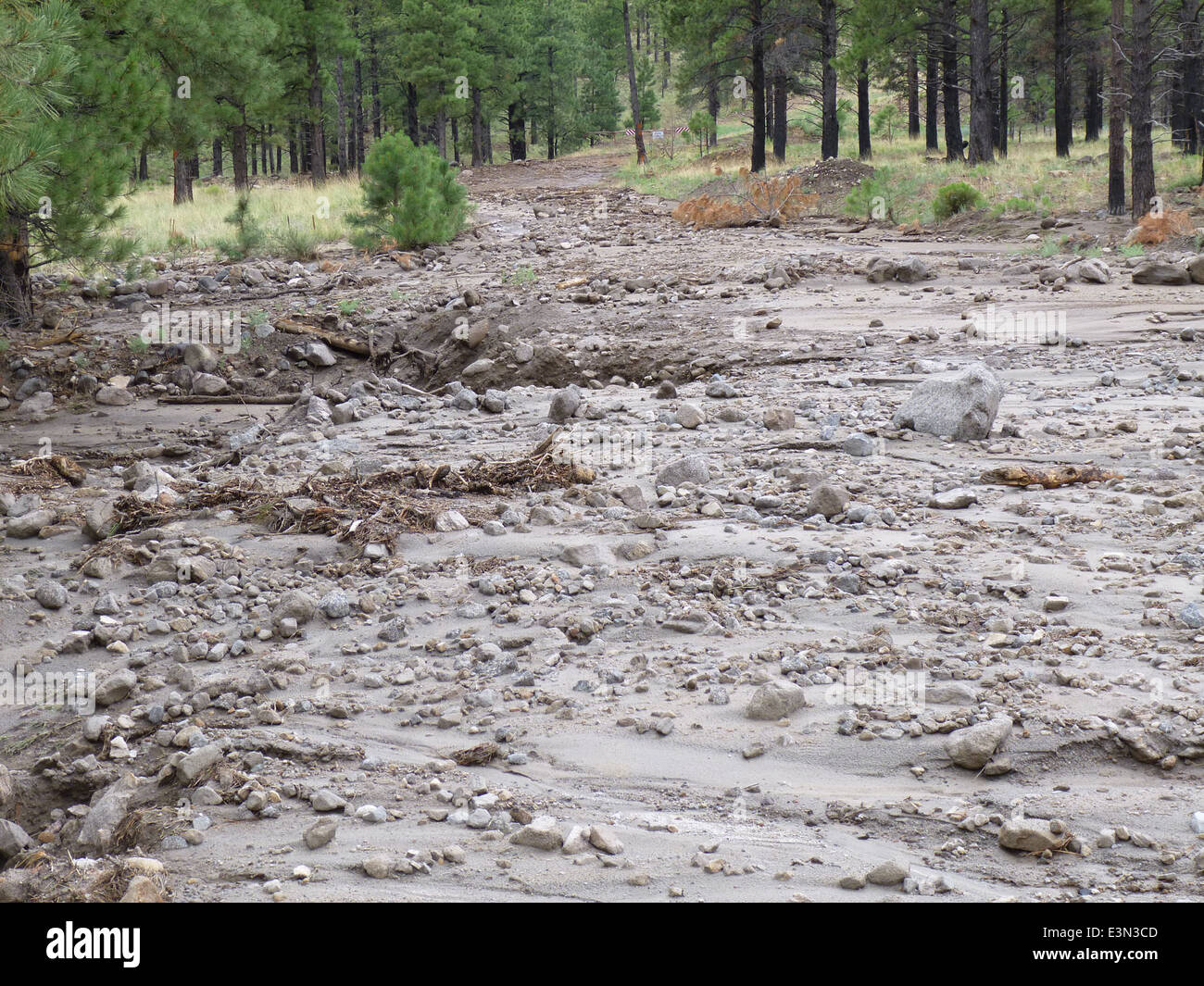 Schultz Pass Road Stock Photo Alamy