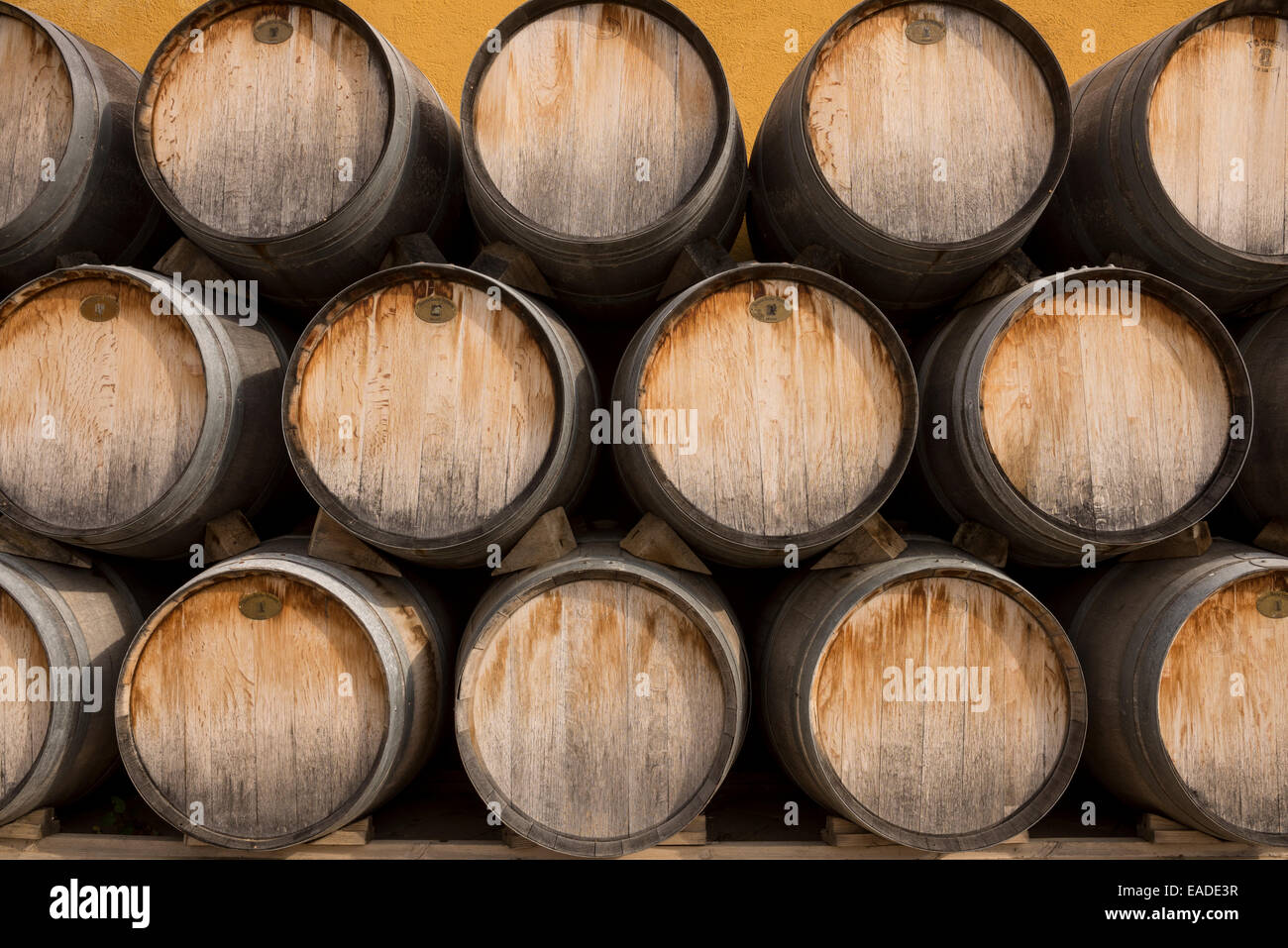 Oak wine barrels Stock Photo Alamy