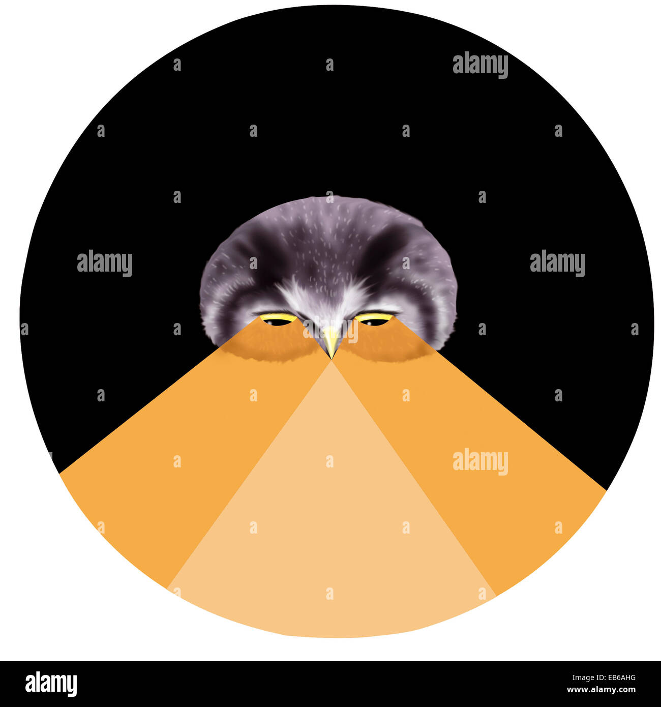 OWL VISION Stock Photo Alamy