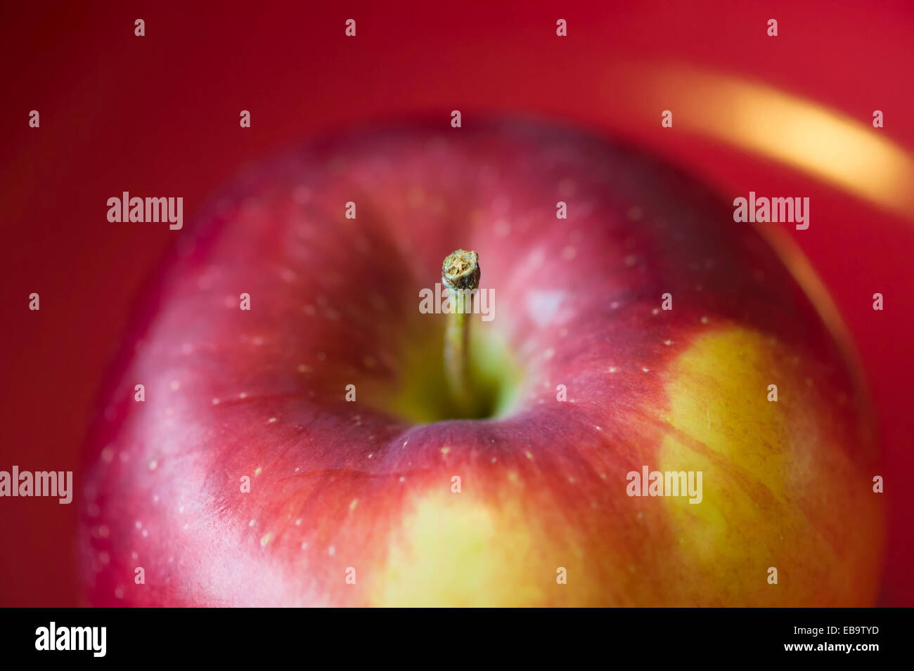 red Apple McIntosh closeup Stock Photo Alamy