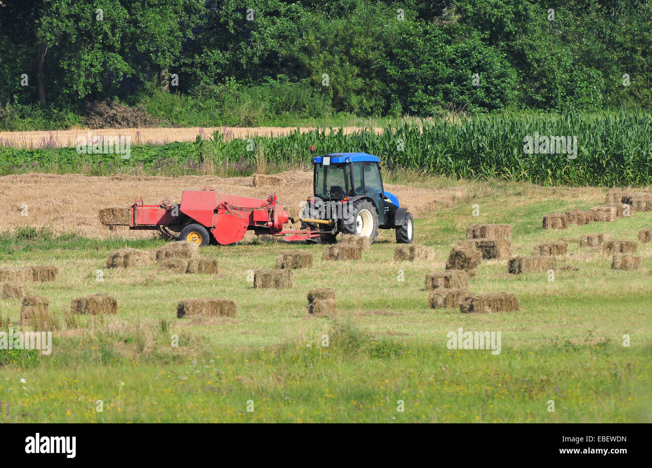 Tractor making hay bales Stock Photo Alamy