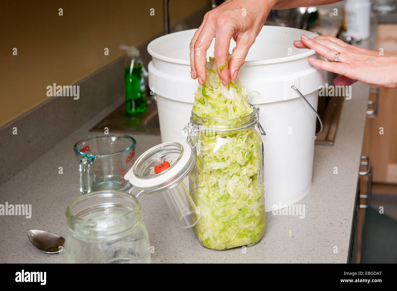 Preparation of sauerkraut hires stock photography and images Alamy