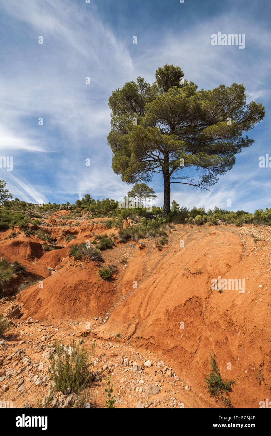 Red earth hires stock photography and images Alamy
