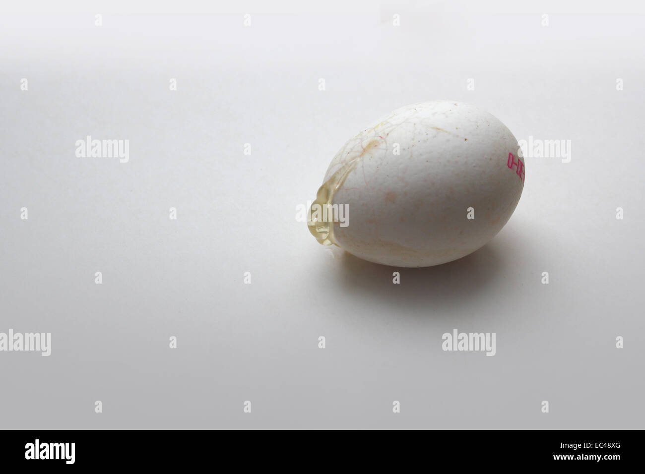 Crashed eggs hires stock photography and images Alamy