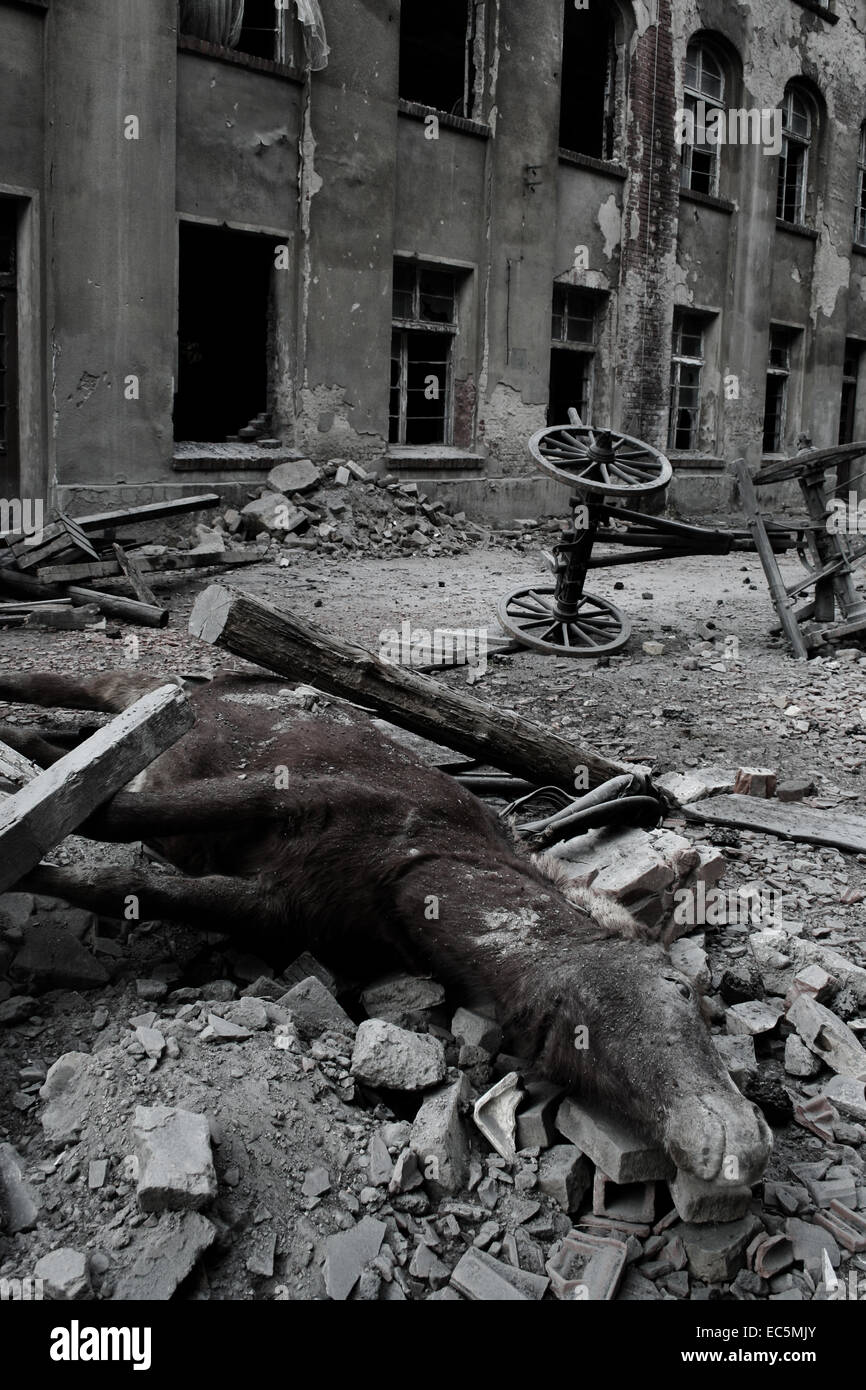 War victim Stock Photo Alamy