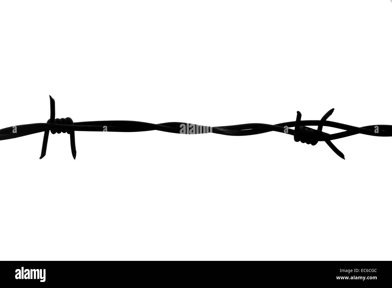 Barbed wire isolated Stock Photo Alamy