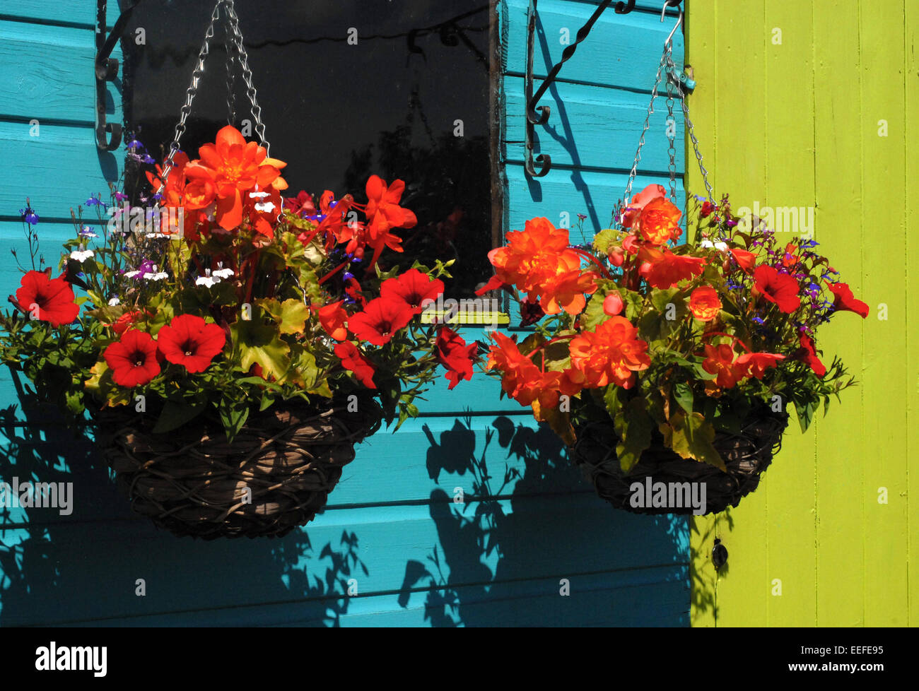 hanging baskets Stock Photo Alamy