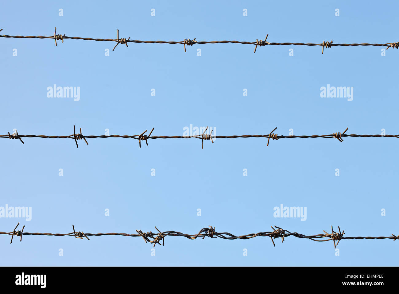 Barbed wire knot hires stock photography and images Alamy