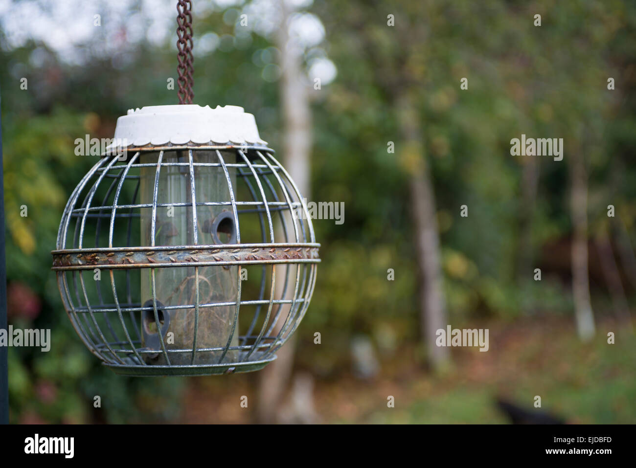 Caged bird feeder hires stock photography and images Alamy