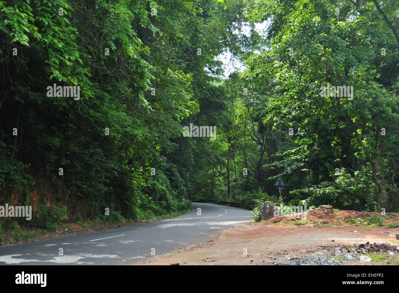 Forest and road Stock Photo Alamy