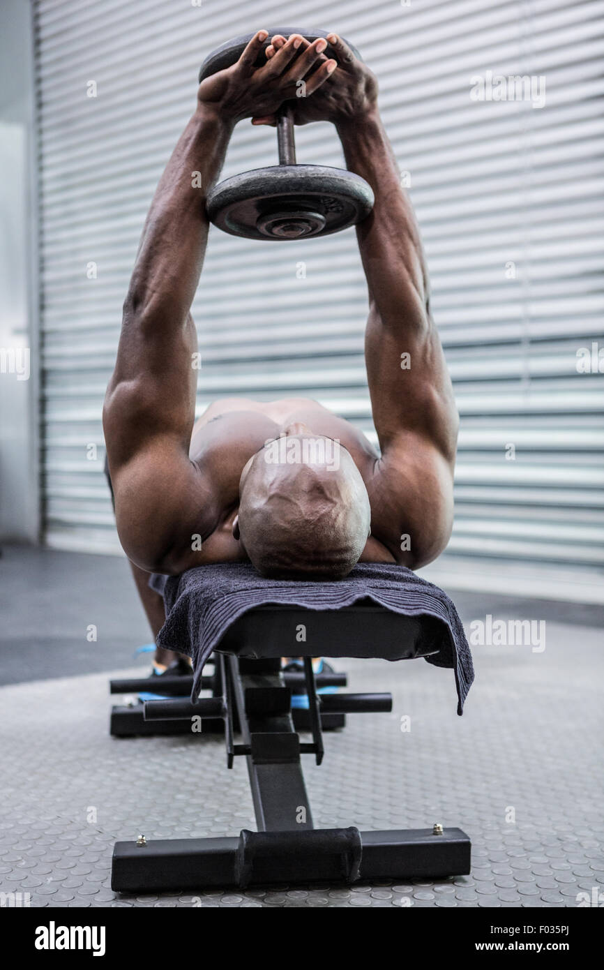 Young Bodybuilder doing weightlifting Stock Photo Alamy