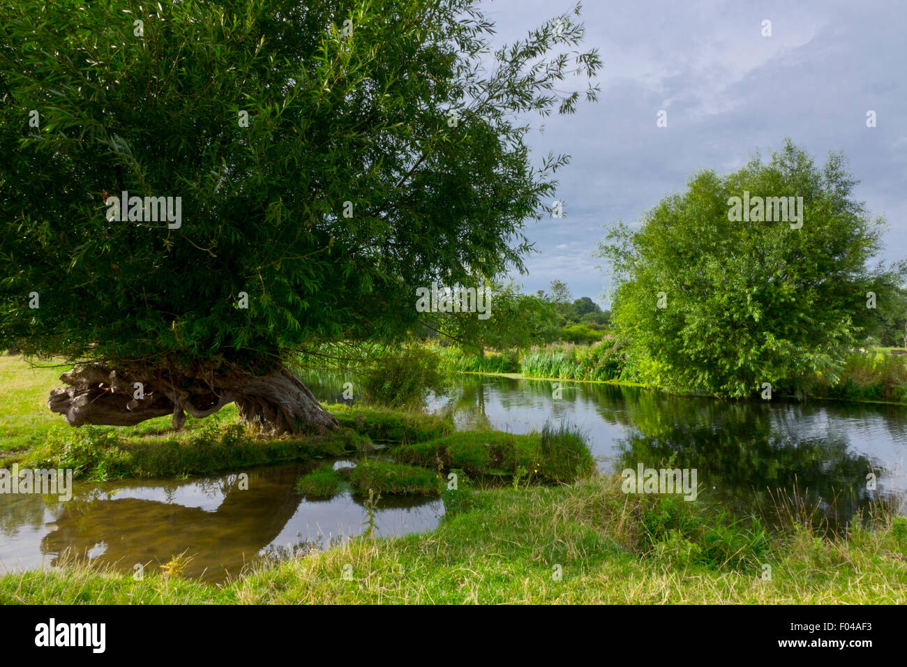 River Stour Dedham vale Stock Photo Alamy